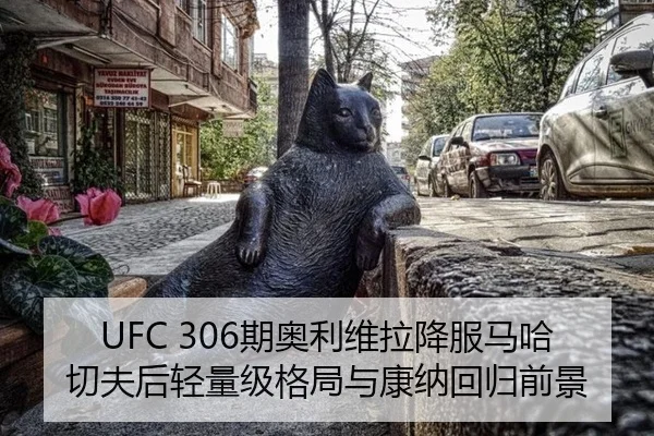 qi-ao-li-wei-la-xiang-fu-ma-ha-qie-fu-hou-qing-liang-ji-ge-ju-yu-kang-na-hui-gui-qian-jing-1-272.jpg